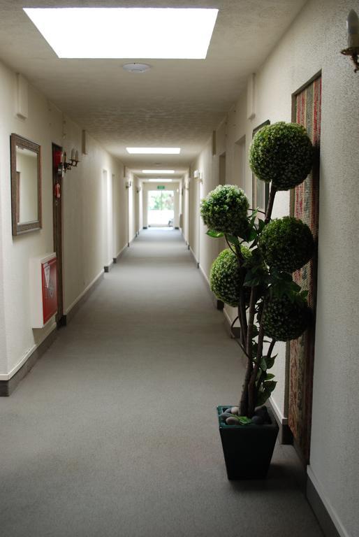 Fountain City Motor Inn Hamilton Eksteriør billede